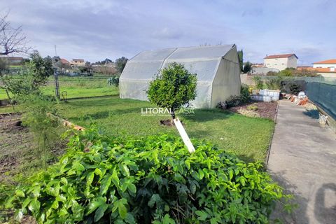 Villa i Oliveira do Bairro, Aveiro, Oliveira do Bairro - € 535.000 | Ref: VEN- 4145 - foto 37