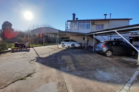 Villa i Oliveira do Bairro, Aveiro, Oliveira do Bairro - € 330.000 | Ref: VEN-4147 - foto 37