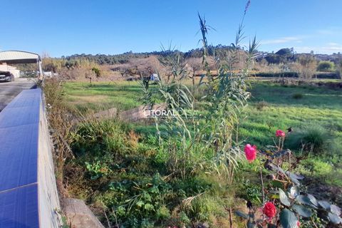 Villa i Oliveira do Bairro, Aveiro, Oliveira do Bairro - € 330.000 | Ref: VEN-4147 - foto 40