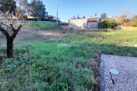 Villa i Oliveira do Bairro, Aveiro, Oliveira do Bairro - € 330.000 | Ref: VEN-4147 - foto 41