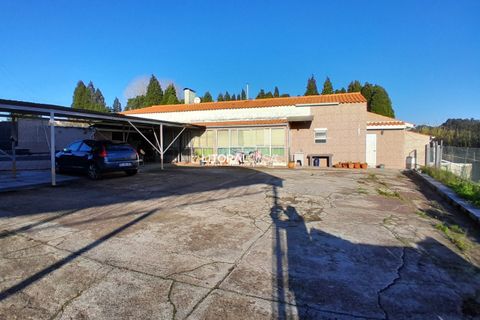Villa i Oliveira do Bairro, Aveiro, Oliveira do Bairro - € 330.000 | Ref: VEN-4147 - foto 42