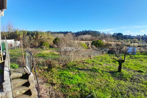 Villa i Oliveira do Bairro, Aveiro, Oliveira do Bairro - € 330.000 | Ref: VEN-4147 - foto 43