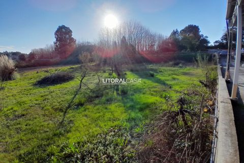 Villa i Oliveira do Bairro, Aveiro, Oliveira do Bairro - € 330.000 | Ref: VEN-4147 - foto 44