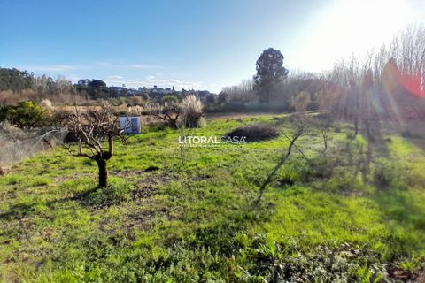 Villa i Oliveira do Bairro, Aveiro, Oliveira do Bairro - € 330.000 | Ref: VEN-4147 - foto 45