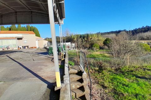 Villa i Oliveira do Bairro, Aveiro, Oliveira do Bairro - € 330.000 | Ref: VEN-4147 - foto 46