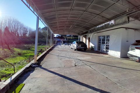Villa i Oliveira do Bairro, Aveiro, Oliveira do Bairro - € 330.000 | Ref: VEN-4147 - foto 49