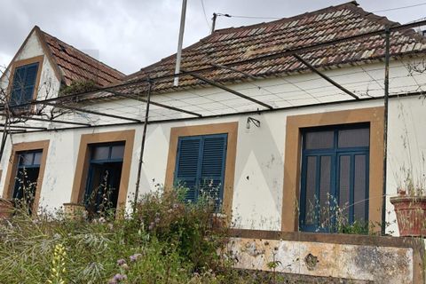 Byhus i Ribeira Brava, Madeira, Ribeira Brava - € 390.000 | Ref: KWPT-025248 - foto 46