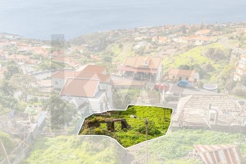 Byhus i Calheta, Madeira, Calheta - € 110.000 | Ref: KWPT-025510 - foto 9