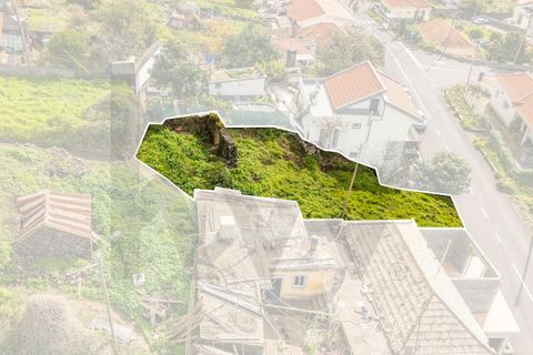 Byhus i Calheta, Madeira, Calheta - € 110.000 | Ref: KWPT-025510 - foto 11
