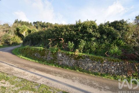 Byhus i Penela, Coimbra, Penela - € 45.000 | Ref: 775439 - foto 2