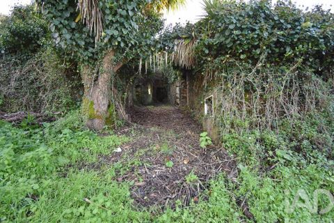 Byhus i Penela, Coimbra, Penela - € 45.000 | Ref: 775439 - foto 3
