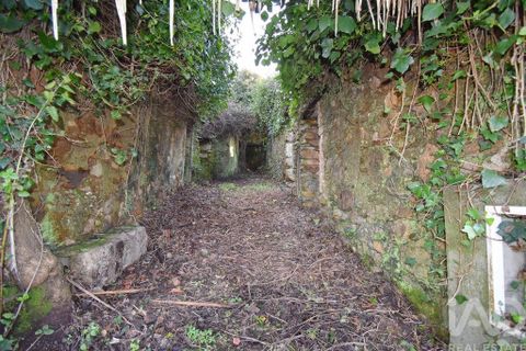 Byhus i Penela, Coimbra, Penela - € 45.000 | Ref: 775439 - foto 5