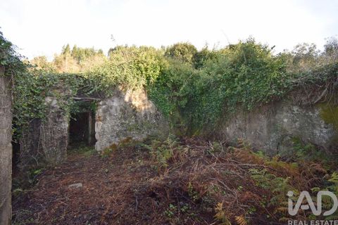Byhus i Penela, Coimbra, Penela - € 45.000 | Ref: 775439 - foto 8