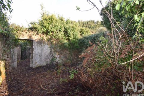 Byhus i Penela, Coimbra, Penela - € 45.000 | Ref: 775439 - foto 9
