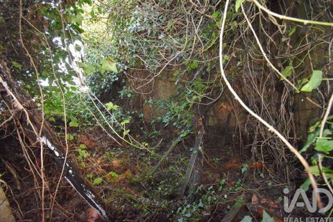 Byhus i Penela, Coimbra, Penela - € 45.000 | Ref: 775439 - foto 10