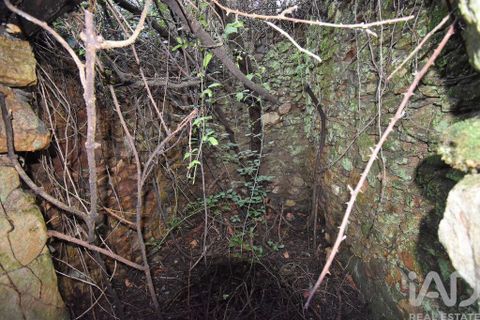 Byhus i Penela, Coimbra, Penela - € 45.000 | Ref: 775439 - foto 13