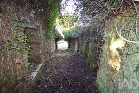 Byhus i Penela, Coimbra, Penela - € 45.000 | Ref: 775439 - foto 14