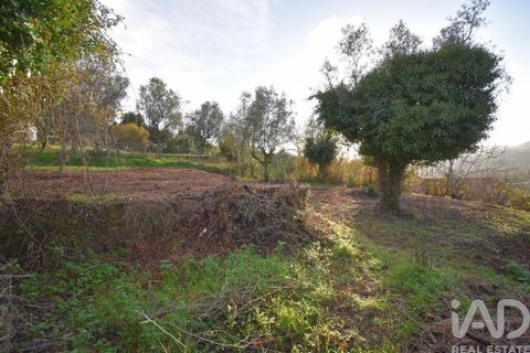 Byhus i Penela, Coimbra, Penela - € 45.000 | Ref: 775439 - foto 15