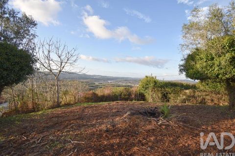 Byhus i Penela, Coimbra, Penela - € 45.000 | Ref: 775439 - foto 16