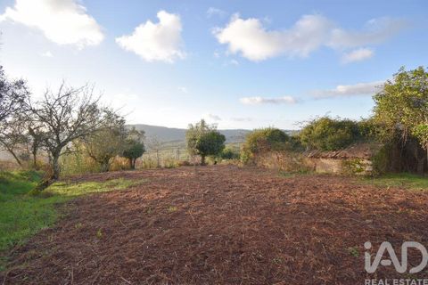 Byhus i Penela, Coimbra, Penela - € 45.000 | Ref: 775439 - foto 17