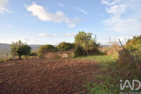 Byhus i Penela, Coimbra, Penela - € 45.000 | Ref: 775439 - foto 18