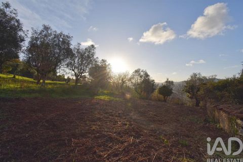 Byhus i Penela, Coimbra, Penela - € 45.000 | Ref: 775439 - foto 19