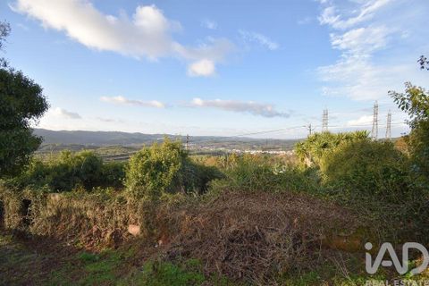 Byhus i Penela, Coimbra, Penela - € 45.000 | Ref: 775439 - foto 20