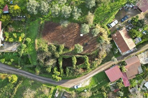 Byhus i Penela, Coimbra, Penela - € 45.000 | Ref: 775439 - foto 21