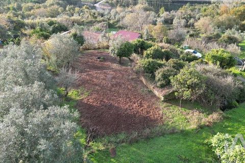 Byhus i Penela, Coimbra, Penela - € 45.000 | Ref: 775439 - foto 22