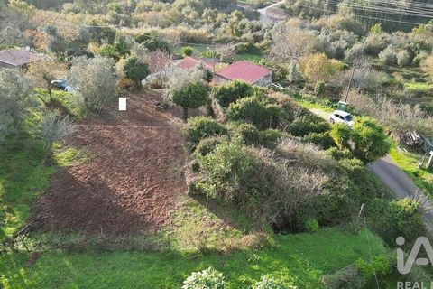Byhus i Penela, Coimbra, Penela - € 45.000 | Ref: 775439 - foto 23