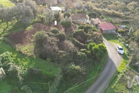 Byhus i Penela, Coimbra, Penela - € 45.000 | Ref: 775439 - foto 24