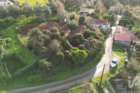 Byhus i Penela, Coimbra, Penela - € 45.000 | Ref: 775439 - foto 25