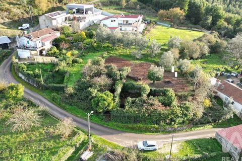 Byhus i Penela, Coimbra, Penela - € 45.000 | Ref: 775439 - foto 26