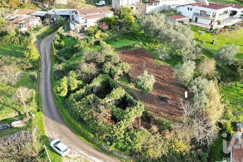Byhus i Penela, Coimbra, Penela - € 45.000 | Ref: 775439 - foto 27
