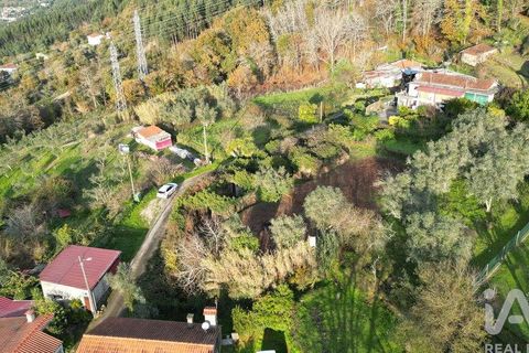 Byhus i Penela, Coimbra, Penela - € 45.000 | Ref: 775439 - foto 29