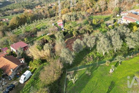 Byhus i Penela, Coimbra, Penela - € 45.000 | Ref: 775439 - foto 30