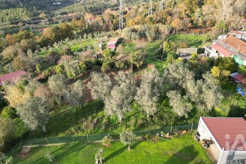 Byhus i Penela, Coimbra, Penela - € 45.000 | Ref: 775439 - foto 31