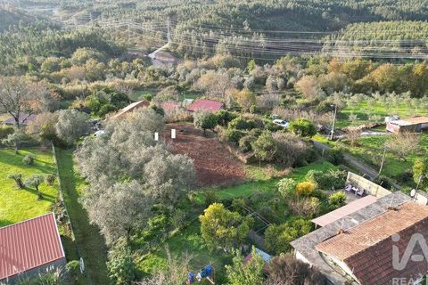 Byhus i Penela, Coimbra, Penela - € 45.000 | Ref: 775439 - foto 32
