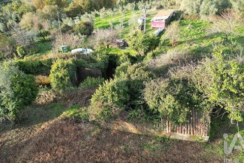 Byhus i Penela, Coimbra, Penela - € 45.000 | Ref: 775439 - foto 33