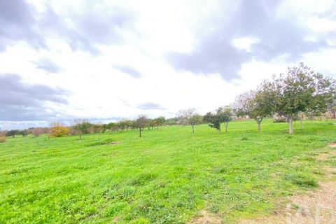 Helårsgrund i Olhao, Faro, Olhao - € 375.000 | Ref: 775781 - foto 2