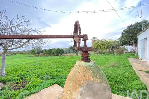 Helårsgrund i Olhao, Faro, Olhao - € 375.000 | Ref: 775781 - foto 19