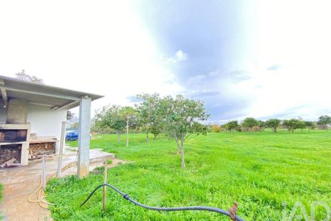Helårsgrund i Olhao, Faro, Olhao - € 375.000 | Ref: 775781 - foto 20