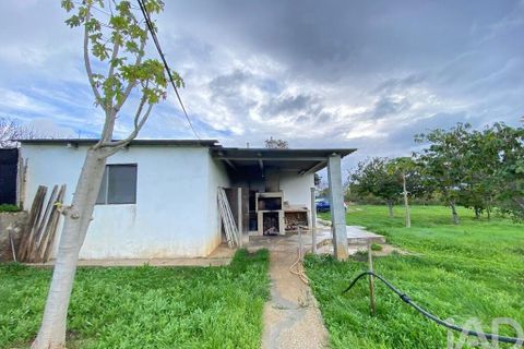 Helårsgrund i Olhao, Faro, Olhao - € 375.000 | Ref: 775781 - foto 22