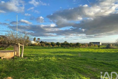 Helårsgrund i Olhao, Faro, Olhao - € 375.000 | Ref: 775781 - foto 25