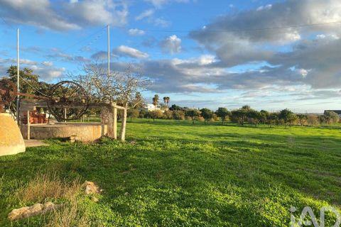 Helårsgrund i Olhao, Faro, Olhao - € 375.000 | Ref: 775781 - foto 29