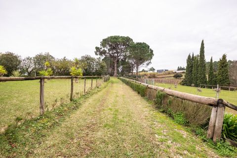 Farm i Coimbra, Coimbra, Coimbra - € 849.000 | Ref: LUX_CB-01227 - foto 4