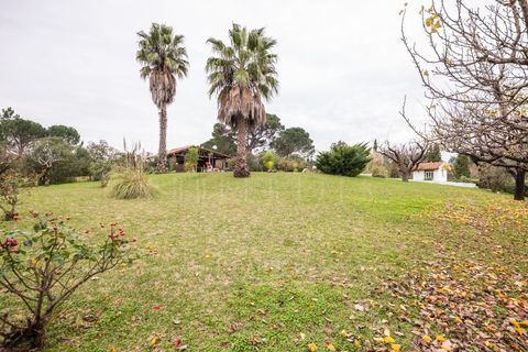 Farm i Coimbra, Coimbra, Coimbra - € 849.000 | Ref: LUX_CB-01227 - foto 10