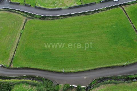 Helårsgrund i Sao Roque do Pico, Pico, Sao Roque do Pico - € 88.000 | Ref: 374250310 - foto 4