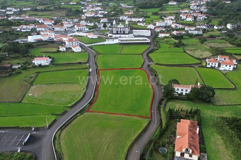 Helårsgrund i Sao Roque do Pico, Pico, Sao Roque do Pico - € 88.000 | Ref: 374250310 - foto 5