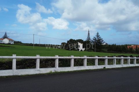 Helårsgrund i Sao Roque do Pico, Pico, Sao Roque do Pico - € 88.000 | Ref: 374250310 - foto 7